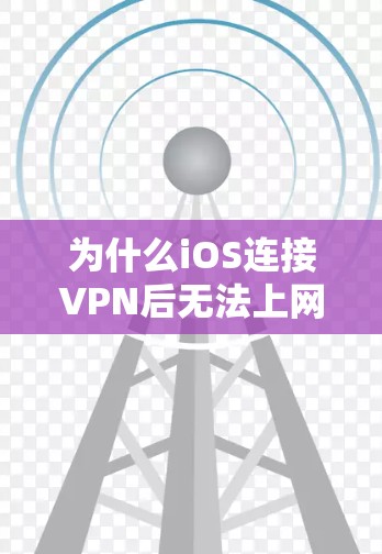 为什么iOS连接VPN后无法上网？