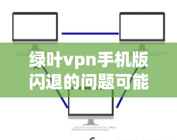 绿叶vpn手机版闪退的问题可能涉及以下几个方面