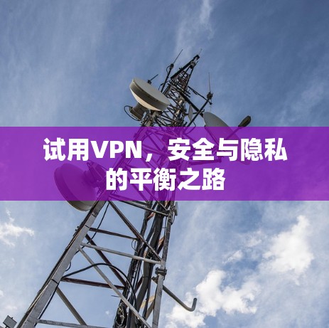 试用VPN，安全与隐私的平衡之路
