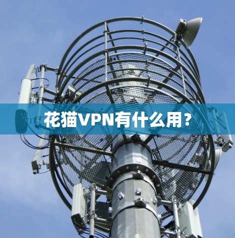 花猫VPN有什么用? 花猫VPN有什么用?