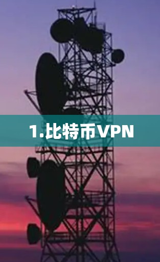 1.比特币VPN 1.比特币VPN