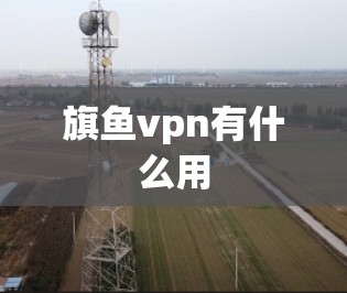 旗鱼vpn有什么用 旗鱼vpn有什么用
