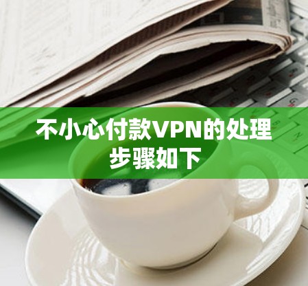 不小心付款VPN的处理步骤如下