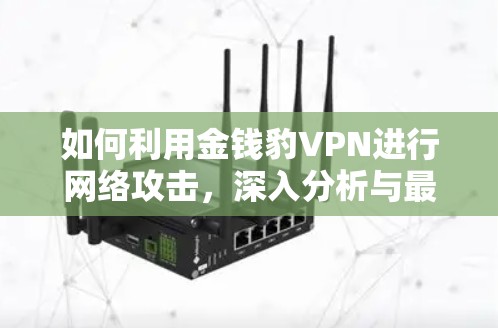 如何利用金钱豹VPN进行网络攻击，深入分析与最佳应对策略