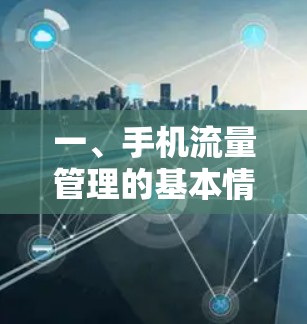 一、手机流量管理的基本情况 一、手机流量管理的基本情况