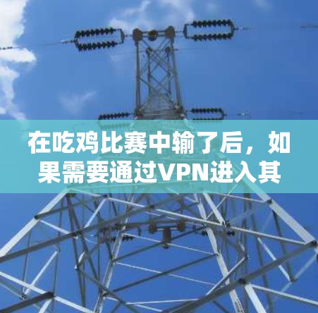 在吃鸡比赛中输了后，如果需要通过VPN进入其他游戏（如英雄联盟、DOTA等）以下是一些步骤和建议