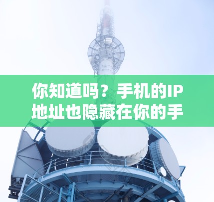 你知道吗?手机的IP地址也隐藏在你的手机里 你知道吗?手机的IP地址也隐藏在你的手机里