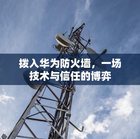 拨入华为防火墙,一场技术与信任的博弈 拨入华为防火墙,一场技术与信任的博弈