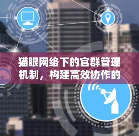 猫眼网络下的官群管理机制,构建高效协作的网络架构 猫眼网络下的官群管理机制,构建高效协作的网络架构