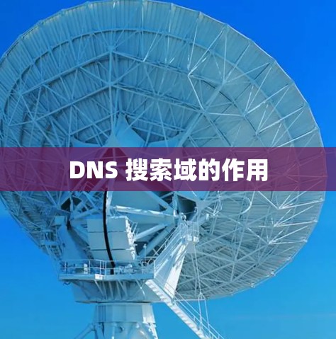 DNS 搜索域的作用
