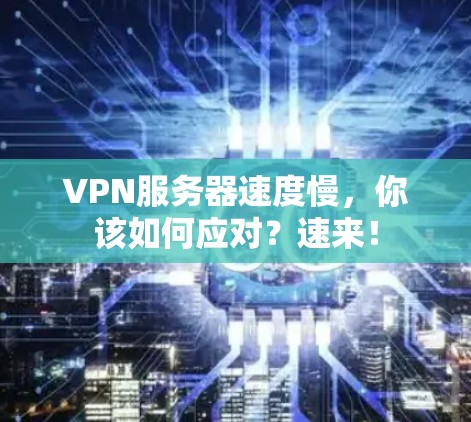 VPN服务器速度慢，你该如何应对？速来！