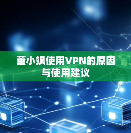 董小飒使用VPN的原因与使用建议