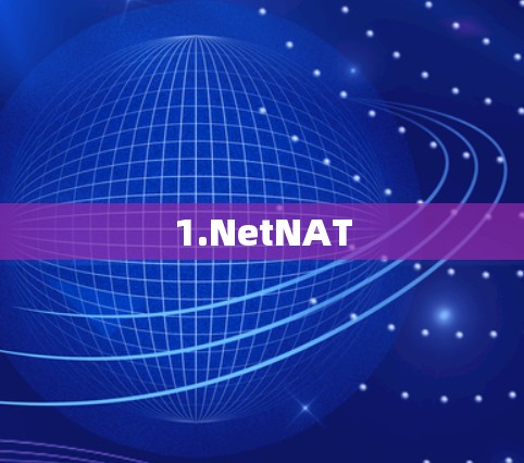 1.NetNAT