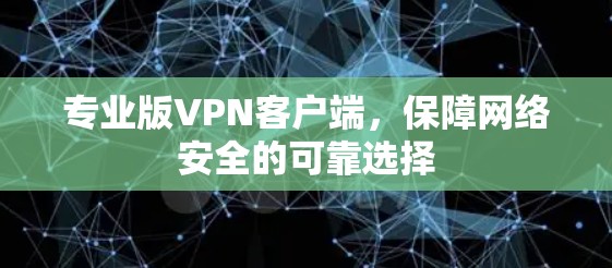 专业版VPN客户端，保障网络安全的可靠选择