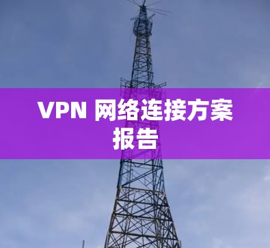 VPN 网络连接方案报告 VPN 网络连接方案报告