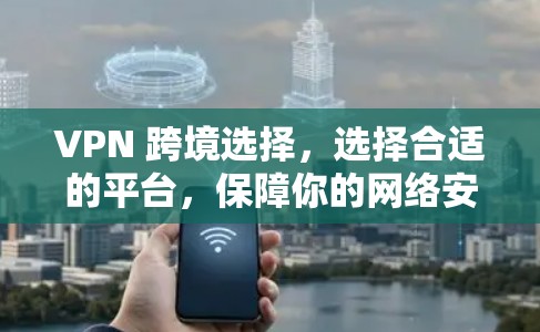 VPN 跨境选择，选择合适的平台，保障你的网络安全
