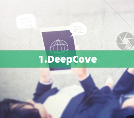 1.DeepCove 1.DeepCove