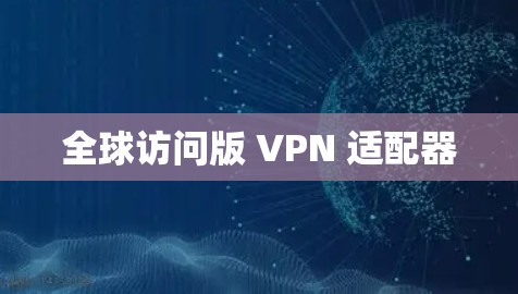 全球访问版 VPN 适配器 全球访问版 VPN 适配器