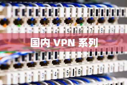 国内 VPN 系列 国内 VPN 系列