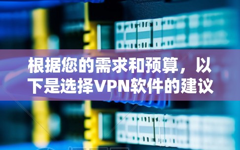 根据您的需求和预算，以下是选择VPN软件的建议