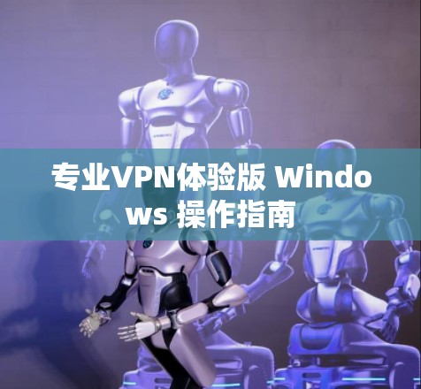 专业VPN体验版 Windows 操作指南 专业VPN体验版 Windows 操作指南