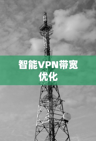 智能VPN带宽优化 智能VPN带宽优化