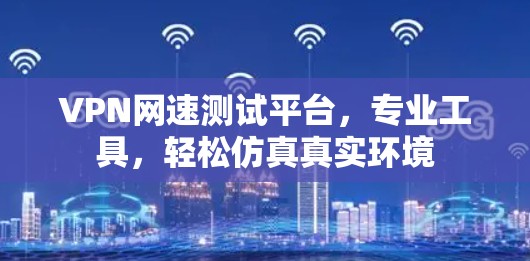 VPN网速测试平台,专业工具,轻松仿真真实环境 VPN网速测试平台,专业工具,轻松仿真真实环境
