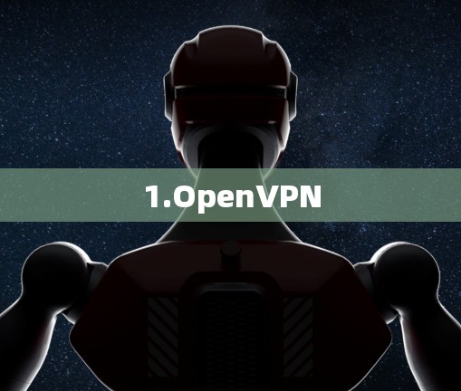 1.OpenVPN 1.OpenVPN