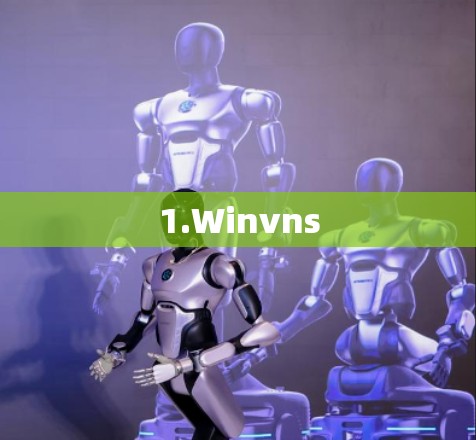 1.Winvns