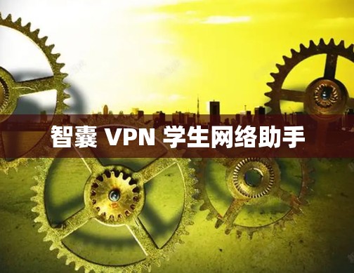 智囊 VPN 学生网络助手
