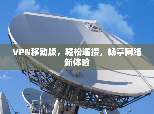 VPN移动版,轻松连接,畅享网络新体验