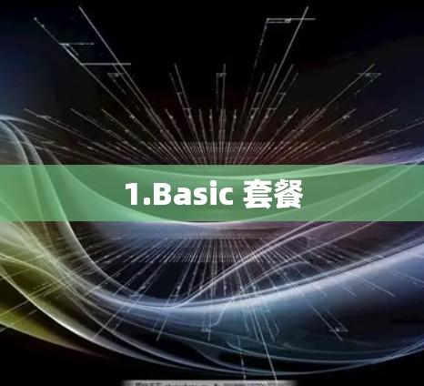 1.Basic 套餐