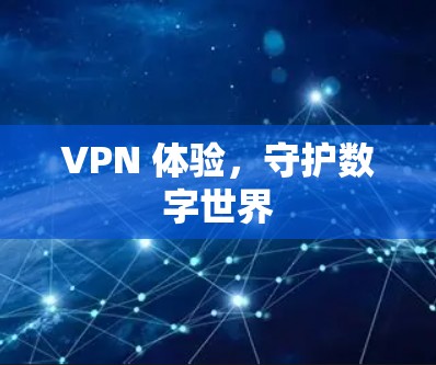 VPN 体验,守护数字世界