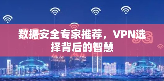数据安全专家推荐,VPN选择背后的智慧