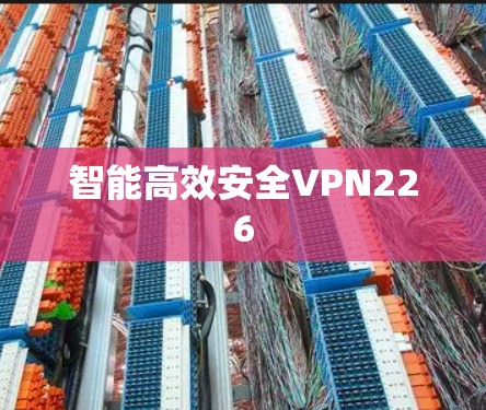 智能高效安全VPN226 智能高效安全VPN226